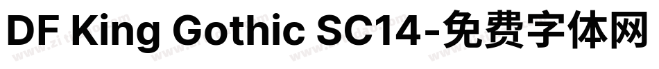 DF King Gothic SC14字体转换